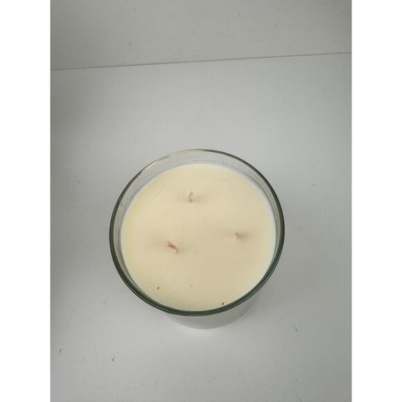 Michael Aram Ginkgo Candle Original Box Grapefruit Black Pepper Silver Tone NEW - Picture 6 of 7